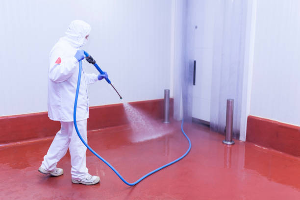Best Graffiti Removal  in Dauphin, PA