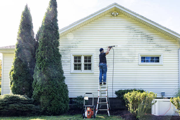 Best Gutter Cleaning  in Dauphin, PA
